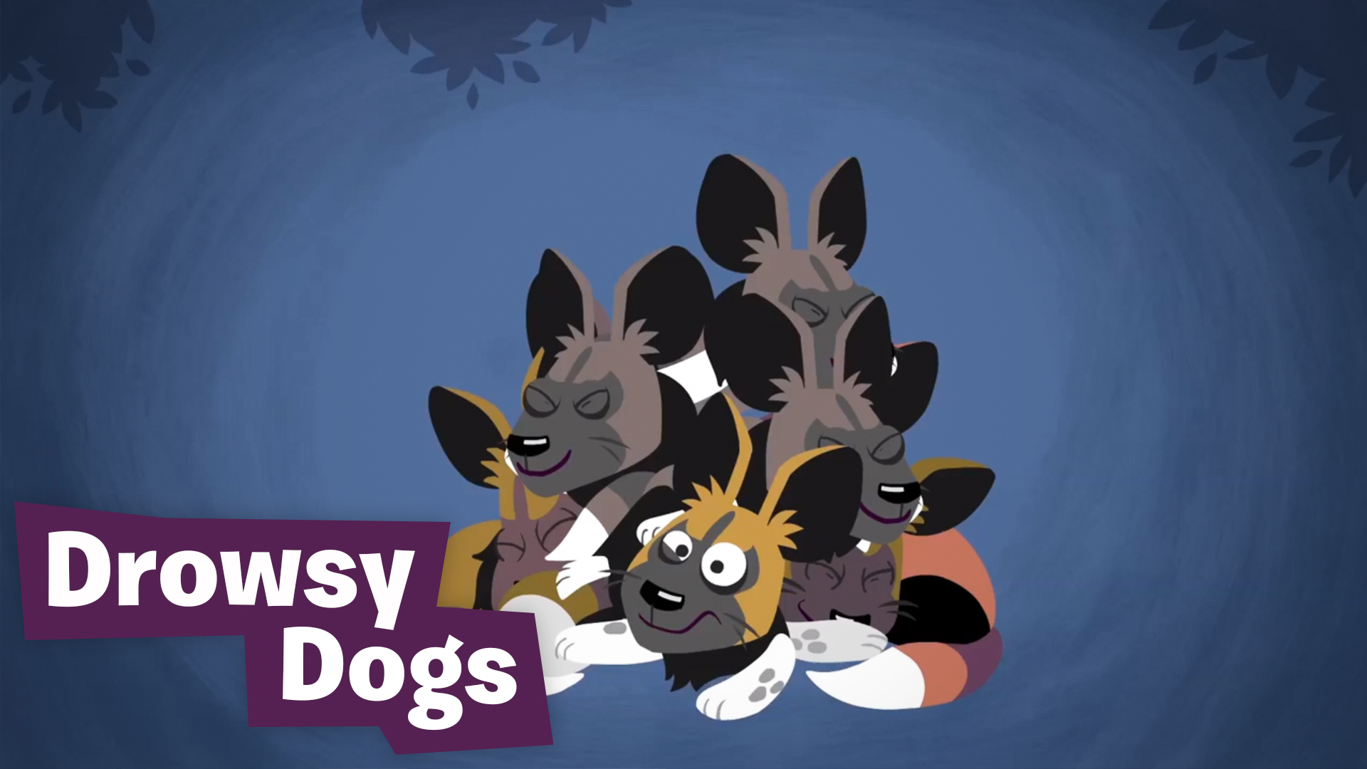 Make Smyke Smart: Drowsy Dogs