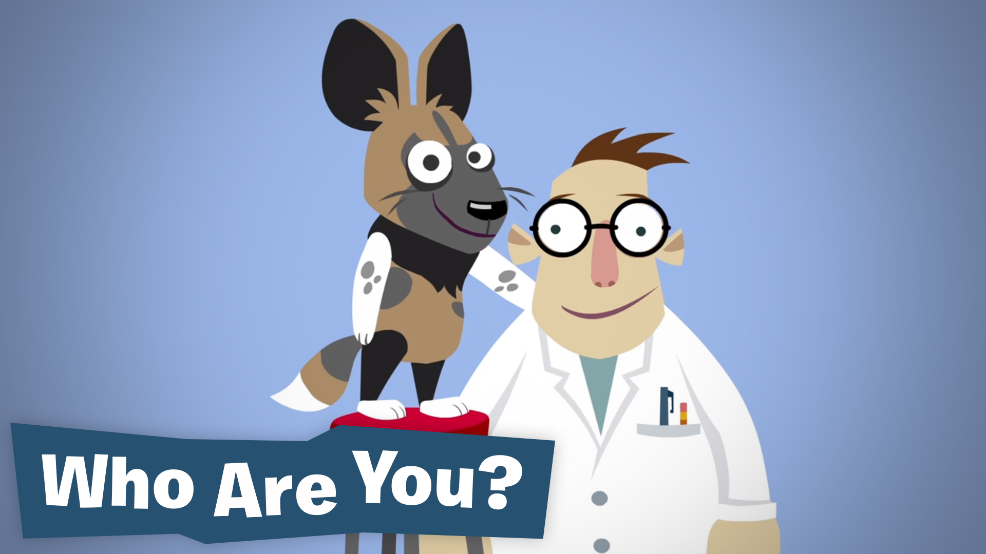 Make Smyke Smart: Who Are You?